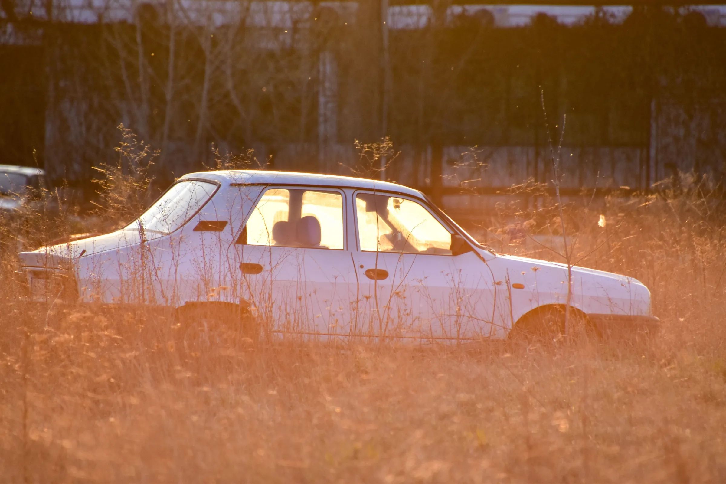 An old white sedan parked in a golden field at sunset